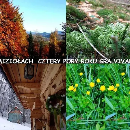 Chalet Beskidy -magiczne Mizioly Lachowice